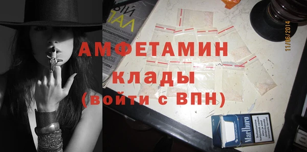 шишки Медногорск