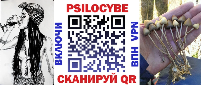 Галлюциногенные грибы GOLDEN TEACHER  купить наркотики сайты  Черемхово 