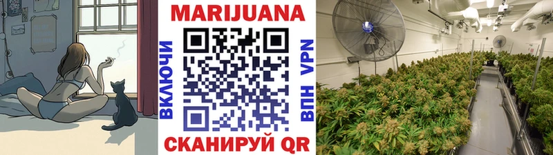 наркошоп  Черемхово  Марихуана сатива 